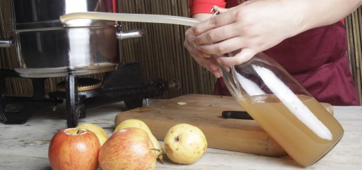 Cuve de fermentation pour cidre/ jus de pomme